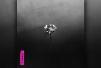 Little Simz Sets the Stage for 'Lotus' With New Track "Flood"