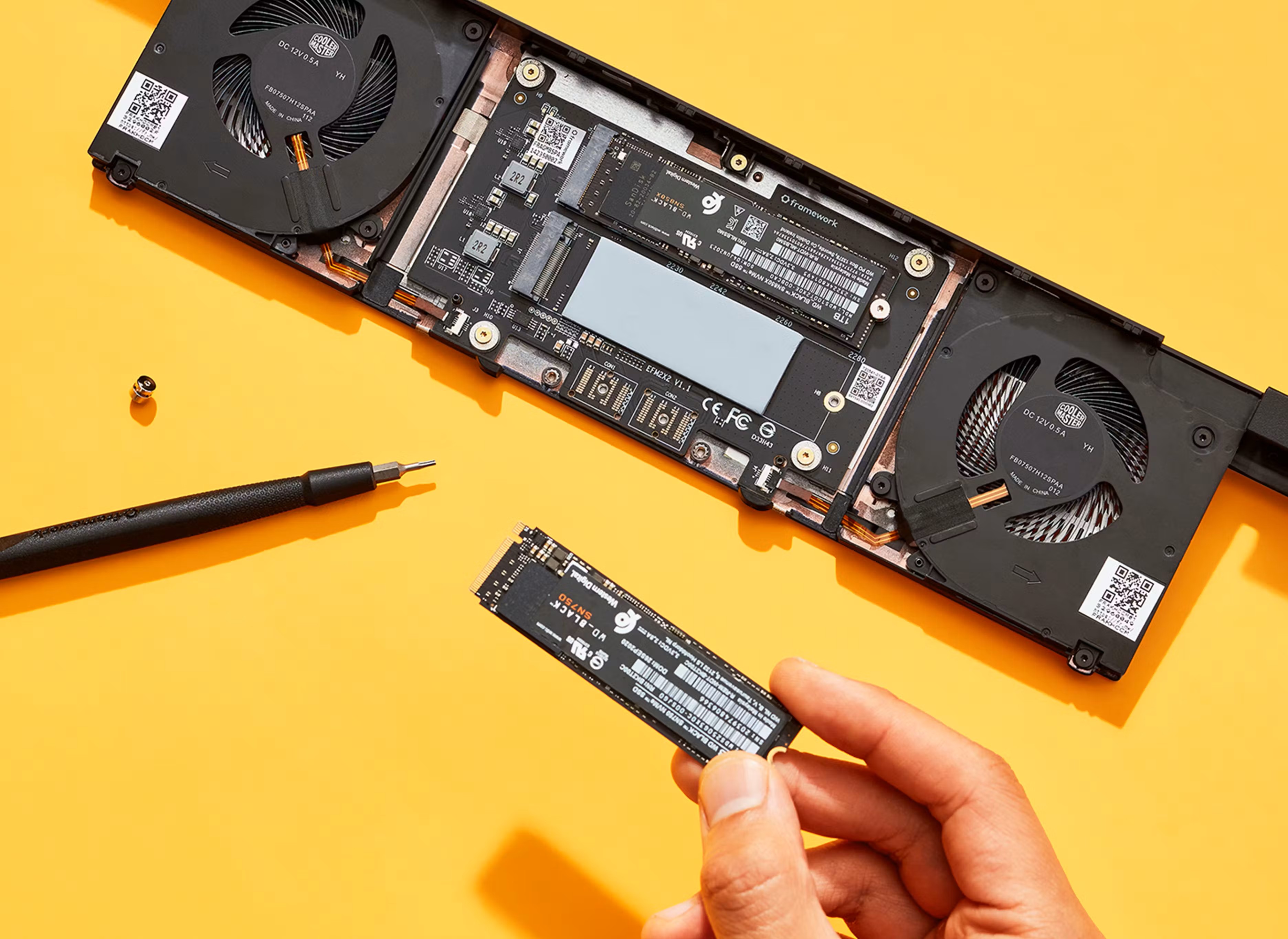 Framework’s double SSD caddy for its Framework 16 expansion bay.