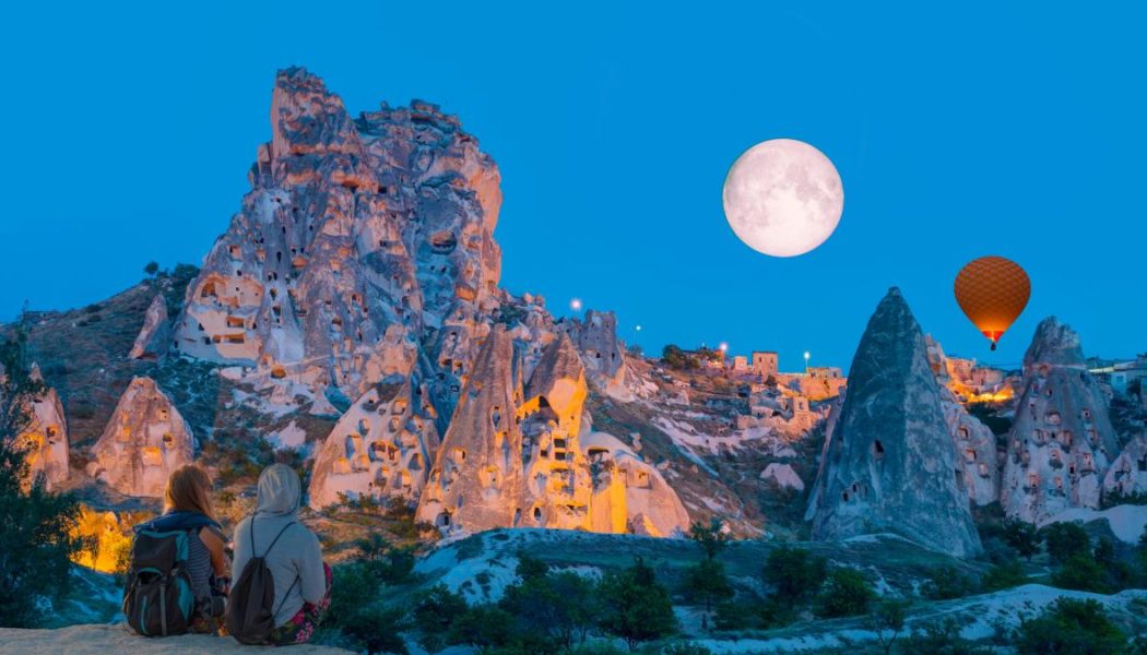 Luxus: Die Firma, jeden Wunsch wahr werden lassen kann – auch Hunde klonen - WELT