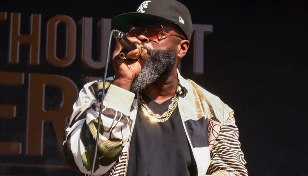 The Roots Unveil Roots Picnic 2025 Lineup