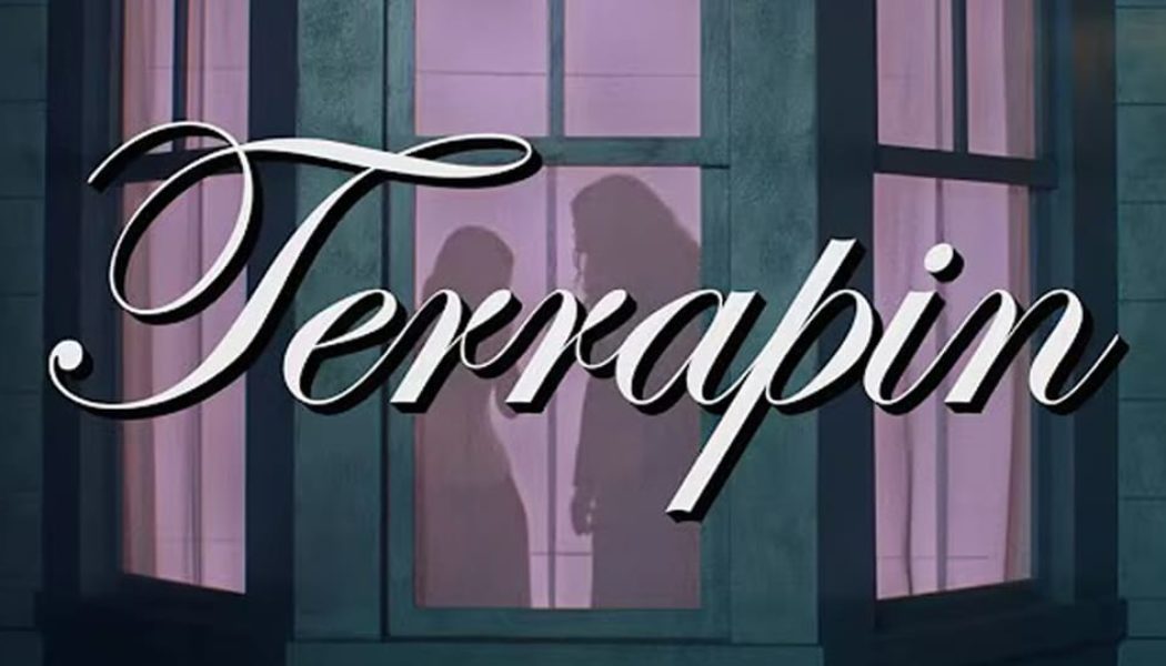 "Weird Al" Yankovic Stars in Clairo's Ayo Edebiri-Directed "Terrapin" Visual
