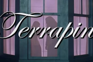 "Weird Al" Yankovic Stars in Clairo's Ayo Edebiri-Directed "Terrapin" Visual