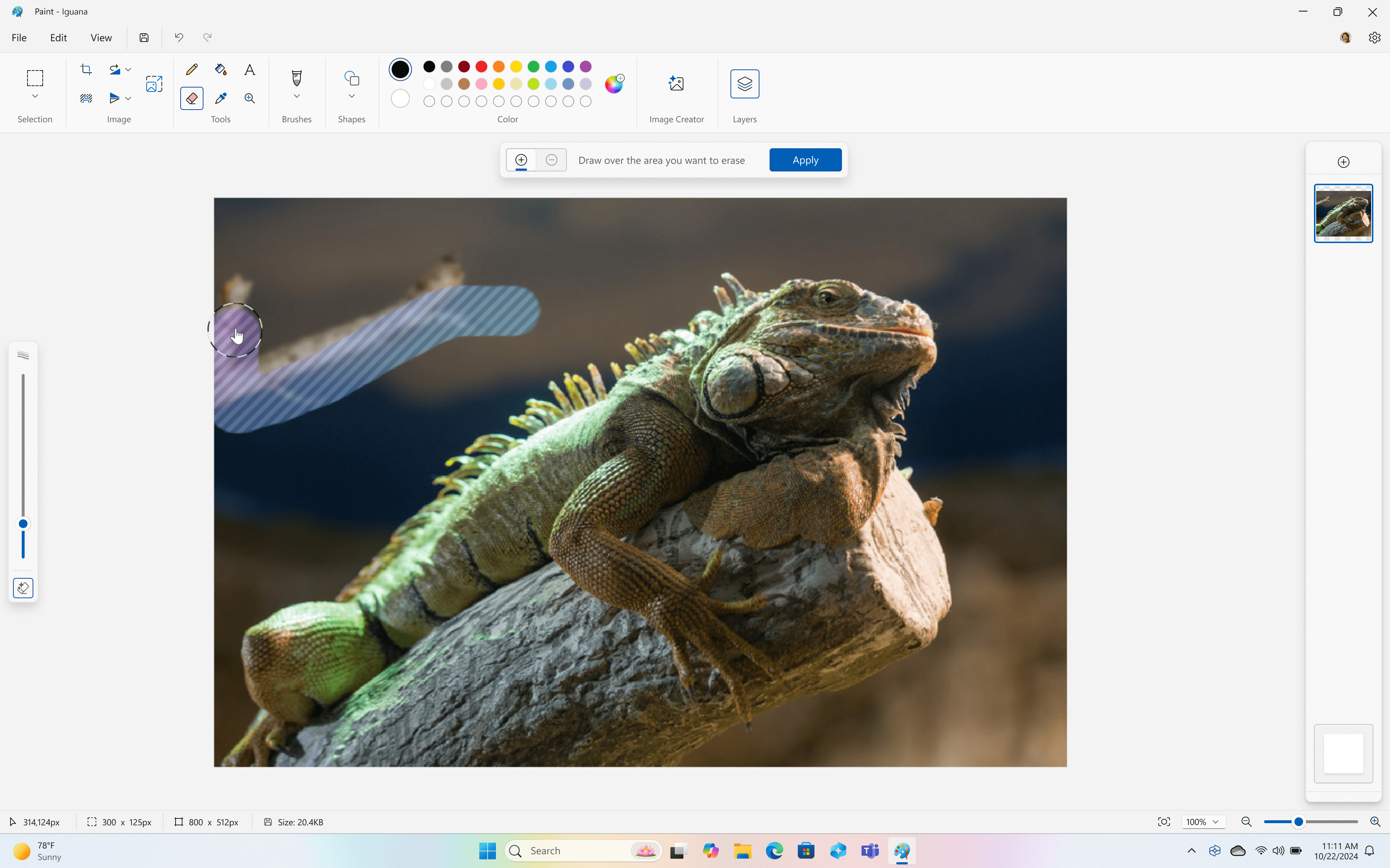 A screenshot of Microsoft Paint’s new Generative Erase brush removeing an object from a picture of an iguana.