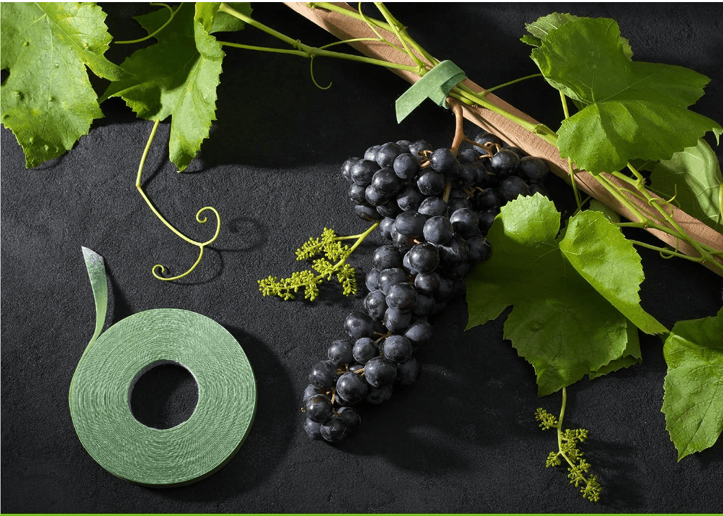 Roll of green Velcro garden ties next to grapevine.