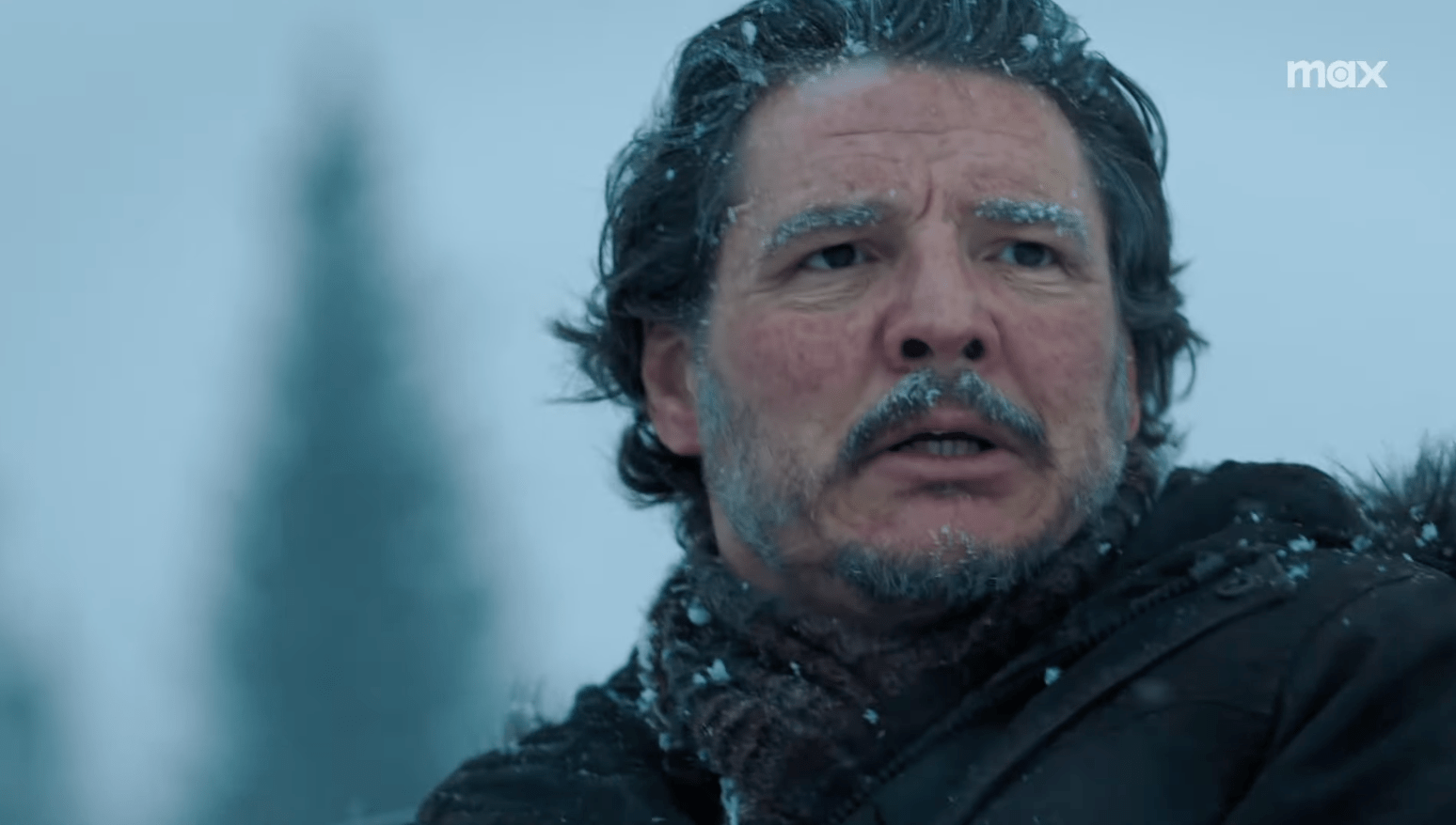 Screenshot 2025-03-08 at 4.44.07 PM