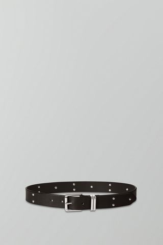Studded Belt in Dark Brown