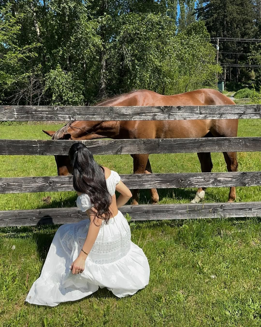Mobina Peiman pauses during apple picking to pose with a horse while wearing a flowy white set