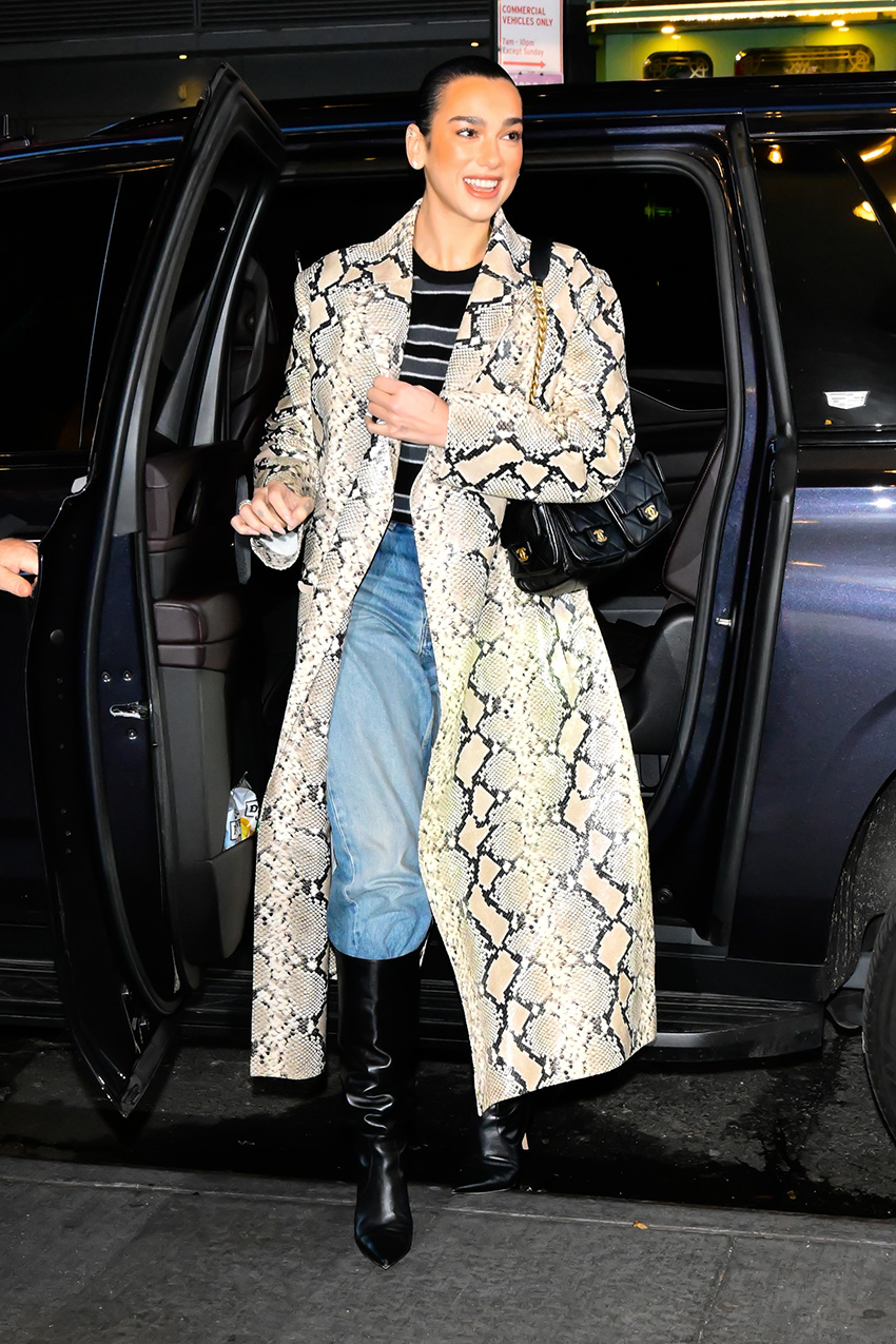 Dua Lipa wearing a snakeskin coat