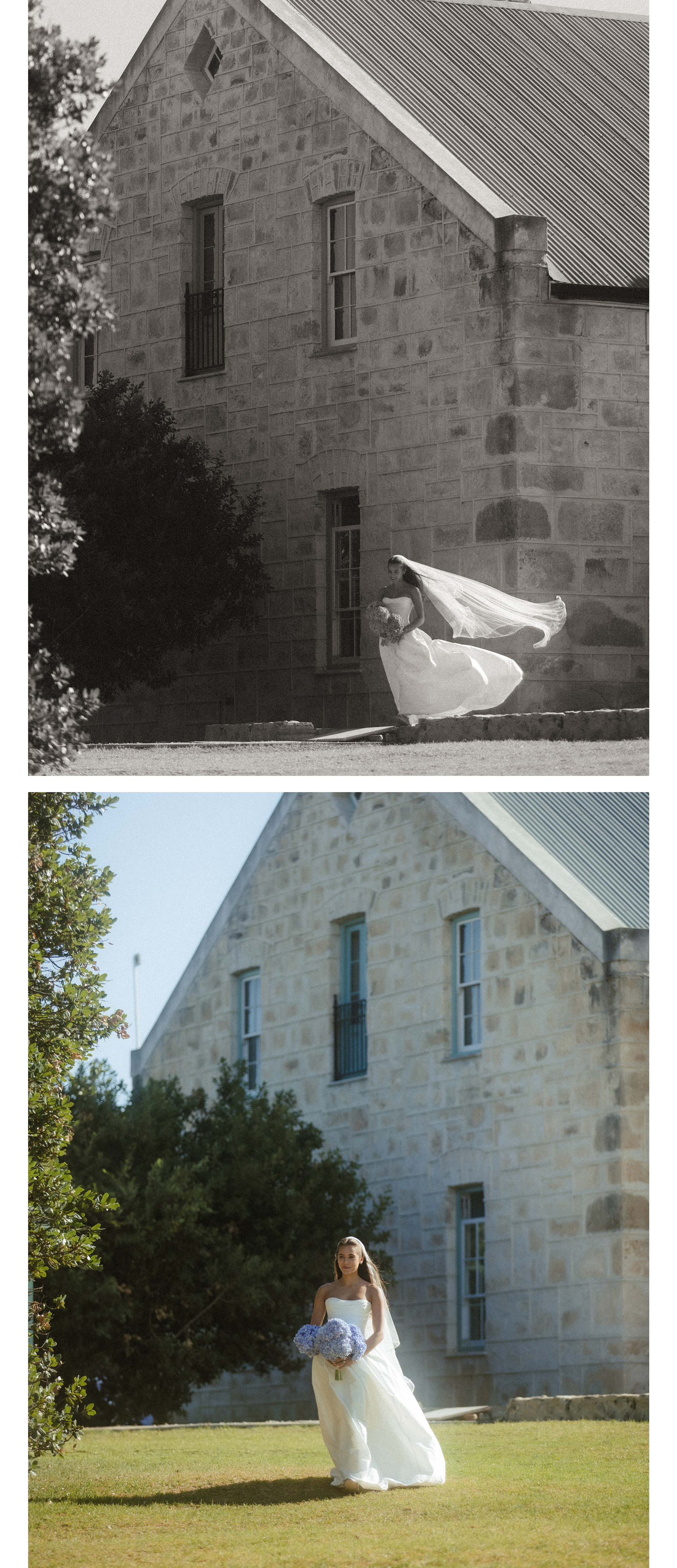 AMBAR DRISCOLL WEDDING