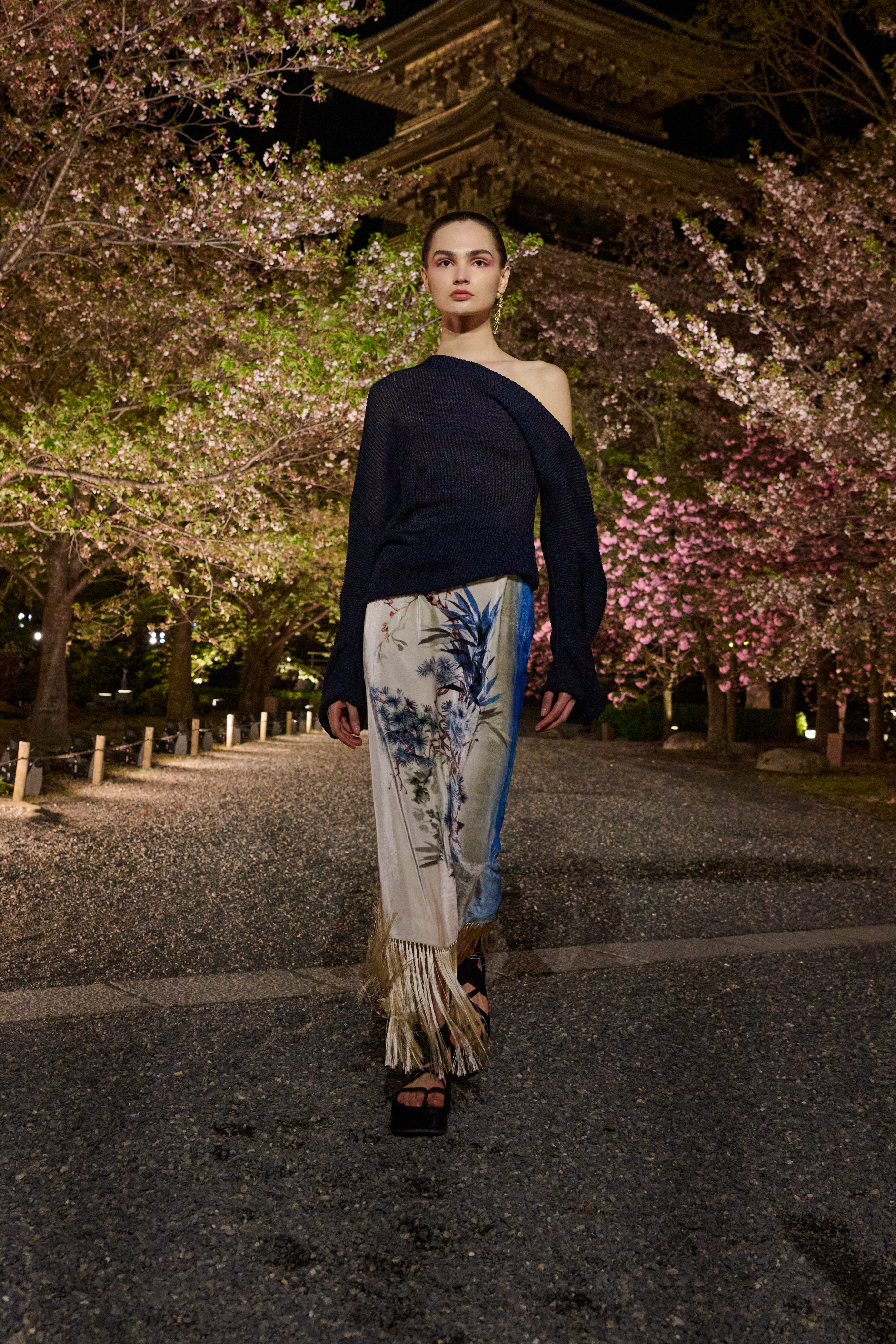 Dior pre-fall 2025 runway show