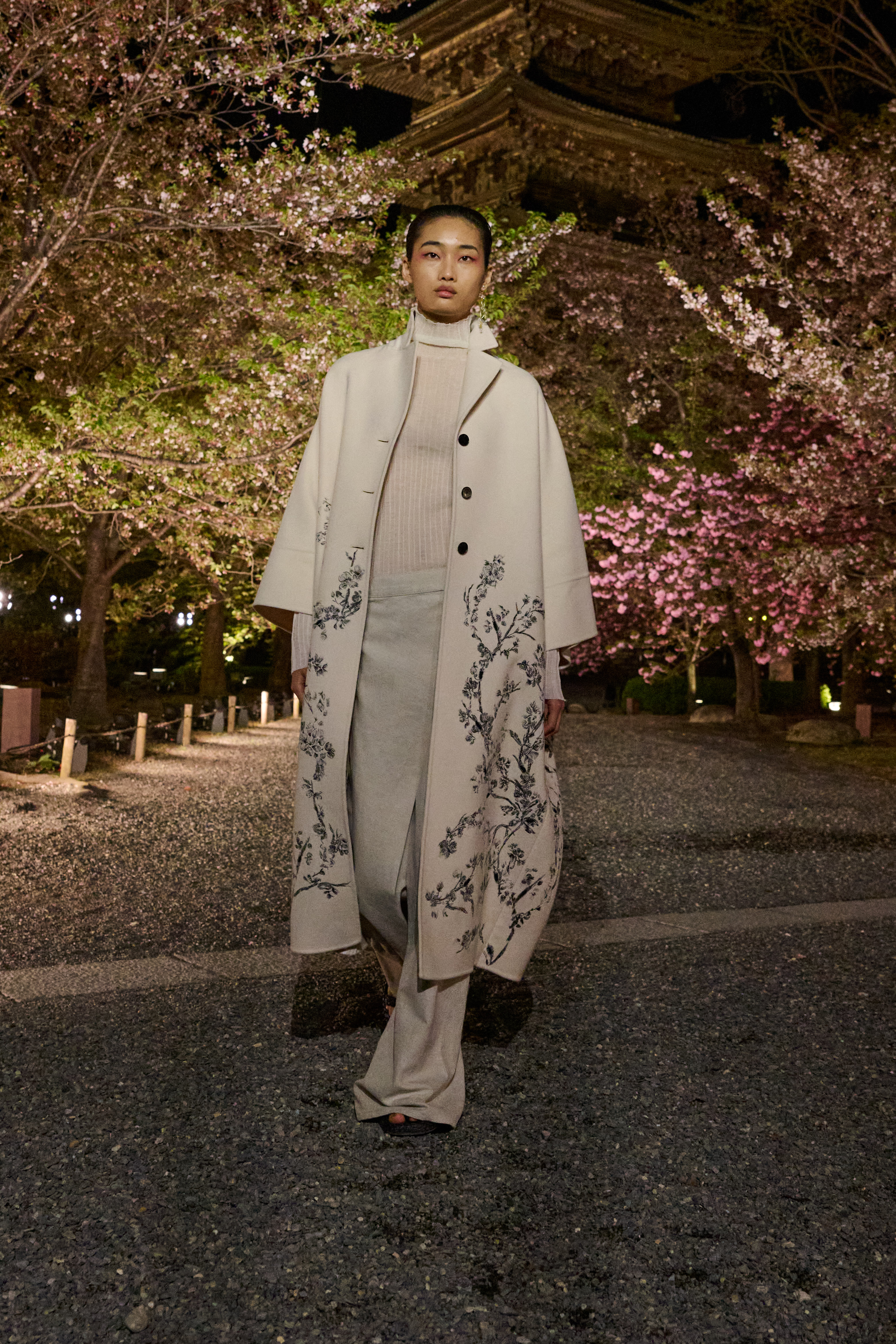 Dior pre-fall 2025 runway show