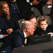 Cue The 'Curb Your Enthusiam' Theme: Cheryl Hines Snubbed By Donald Trump At UFC 314, X Can't Stop Laughing