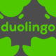 Duolingo is getting a chess course