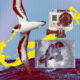 Hacking GoPros to help save the Atlantic’s rarest bird