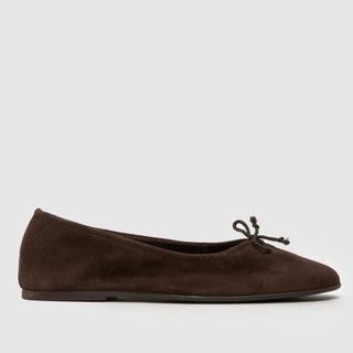 Schuh Lambert Suede Ballerina in Brown