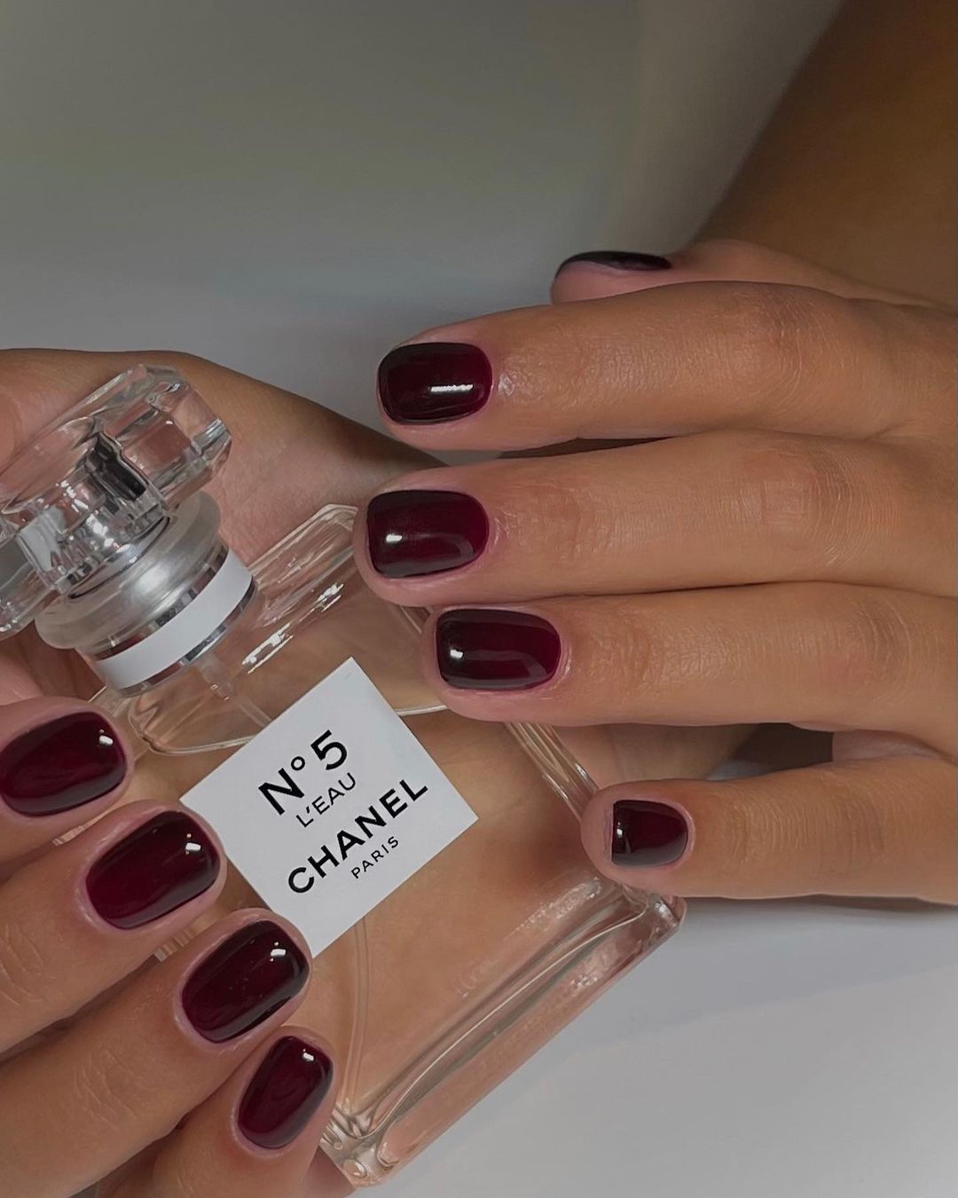 Chanel Rouge Noir Nail Polish