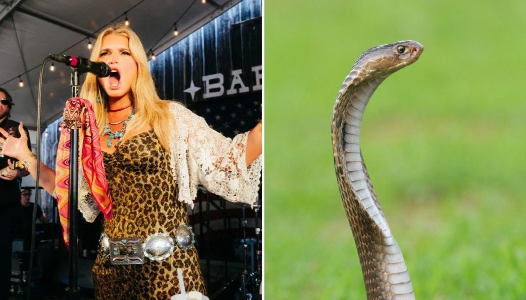 Jessica Simpson doubles down on benefits of snake semen: "It really clears my throat"