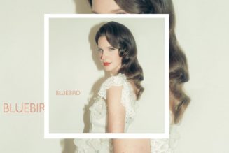 Lana Del Rey Continues Album Rollout With "Bluebird"