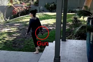 LAPD Releases Body Cam Footage of Shooting Involving Weezer Bassist's Wife