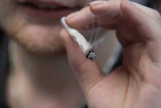 Mediziner: „Cannabis ist kein harmloses Lifestyle-Produkt“