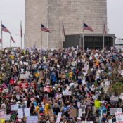 ‘Millions’ may have protested Trump and Musk yesterday