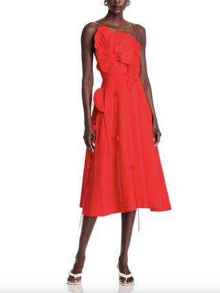 Butterfly Garden Sleeveless Maxi Dress