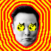 People are turning on Elon Musk