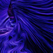 teamLab Phenomena Abu Dhabi Is a Living Universe Where Art Breathes and Light Floats