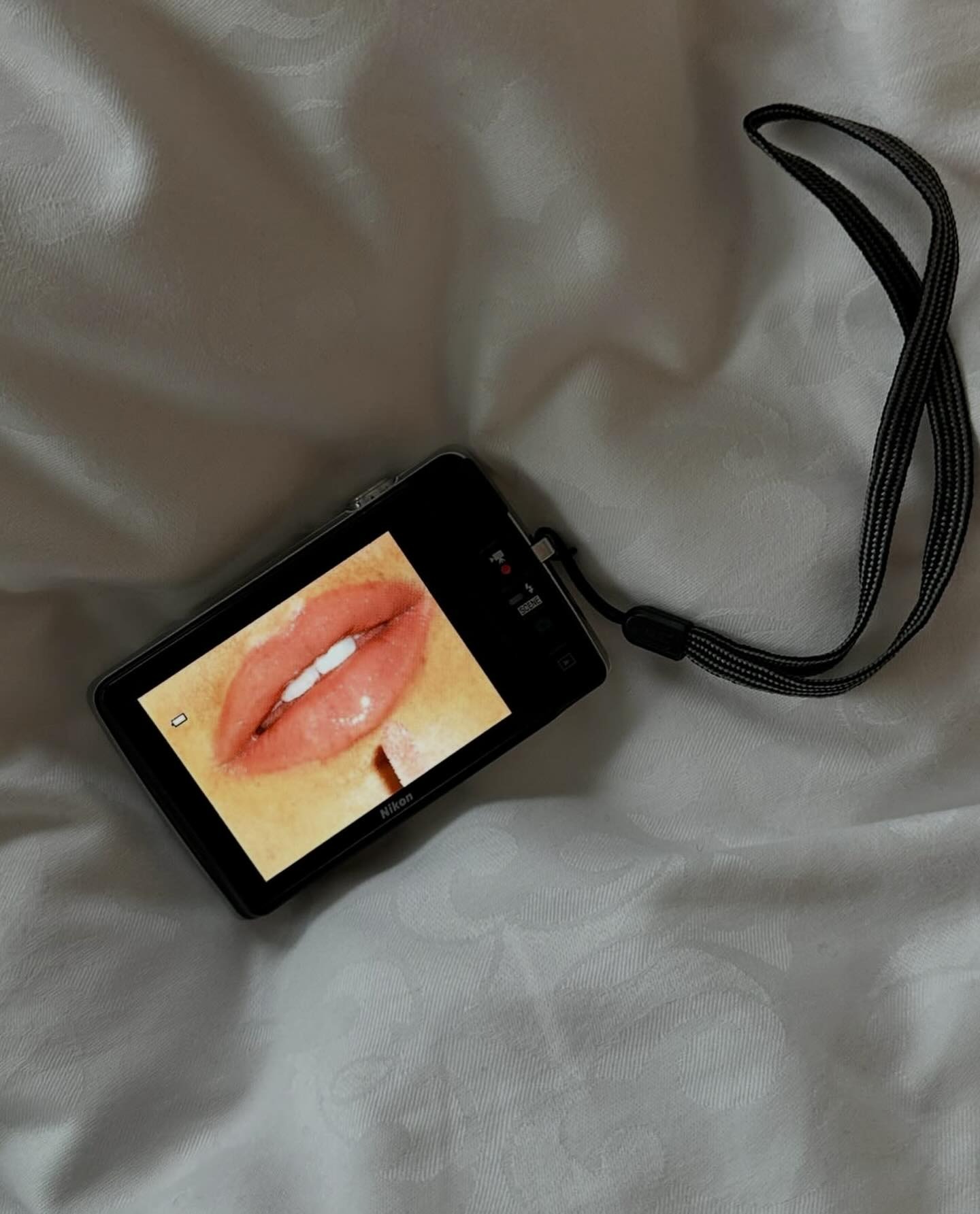 Image of a digital camera showing a picture of lips with makeup being applied.