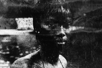 Through the Lens: Chris Skylark