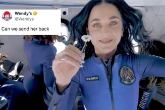 Wendy's Roasted Katy Perry for Space Flight — Then Chickened Out