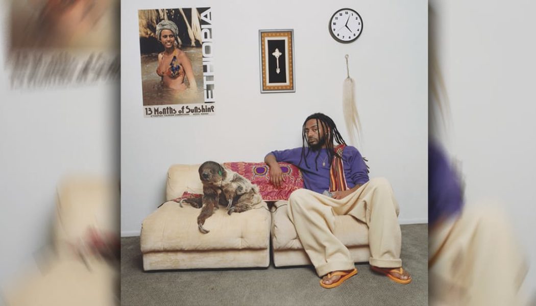 Aminé Properly Ushers In Summertime with '13 Months of Sunshine'