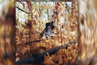 billy woods' 'GOLLIWOG' Is One Grandiose Horror Story