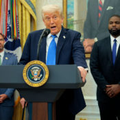 Donald Trump Wants Beyoncé And Other Stars Investigated For Helping Kamala Harris