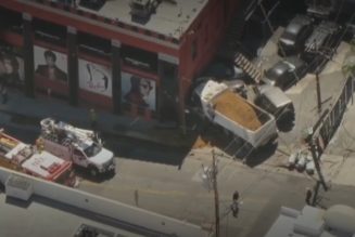 Dump Truck Crashes Into Whisky a Go Go Prior to Boy Hits Car Concert