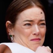 Emma Stone Attacked by Bee on Cannes Red Carpet