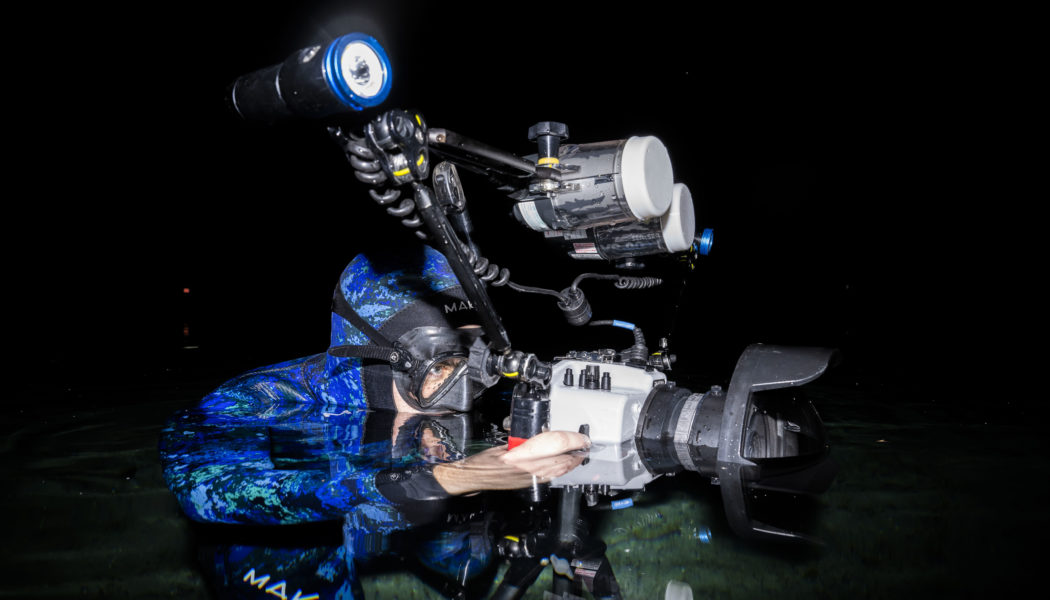 Florida man documents the unseen beauty of freshwater ecosystems