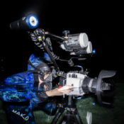 Florida man documents the unseen beauty of freshwater ecosystems