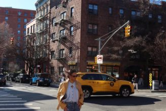 I Discovered "Sweatpant Jeans" on Social Media, and Days Later, They Arrived at My Door—Here's My Review