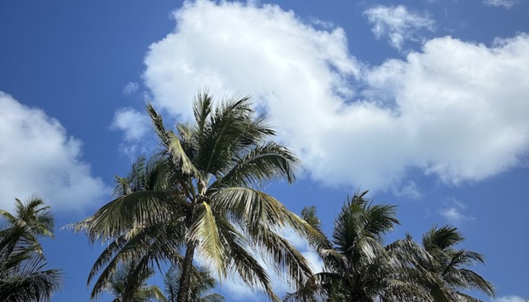 I Spent 72 Hours in South Beach—Here's Every Fashion and Beauty Item I Packed