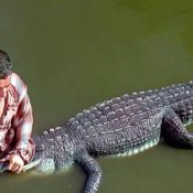 Morris, Alligator in Happy Gilmore, Dead at Over 80 Years Old