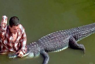 Morris, Alligator in Happy Gilmore, Dead at Over 80 Years Old