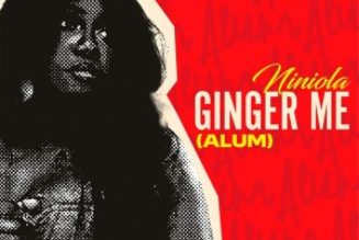 Niniola Brings the Heat with Amapiano-Fueled Banger “Ginger Me (Alum)” » NaijaTunez - No. 1 Platform For Latest Naija Music & Videos