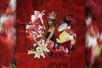 PinkPantheress Expands Her Portfolio on 'Fancy That'