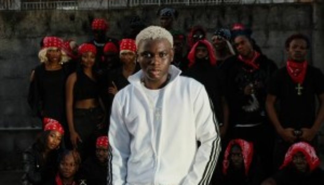 Ayo Maff collaborates with Seyi Vibez for “Gang” » NaijaTunez - No. 1 Platform For Latest Naija Music & Videos