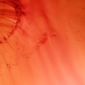 Centre Pompidou Bows Out With Major Wolfgang Tillmans Retrospective