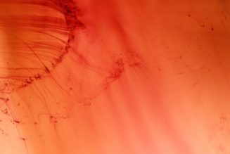 Centre Pompidou Bows Out With Major Wolfgang Tillmans Retrospective