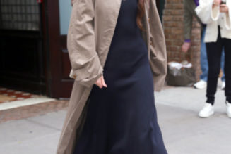 Dakota Johnson Just Wore the Shoe Colour Trend That Looks Best With Navy Dresses