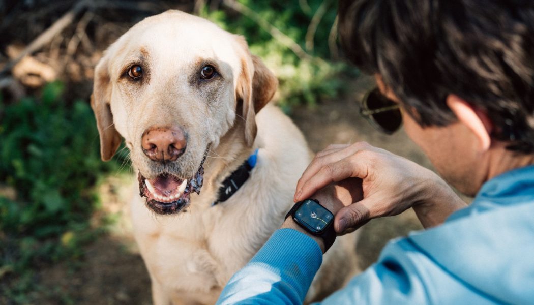 Fi’s AI-powered dog collar lets you monitor pet behavior via Apple Watch