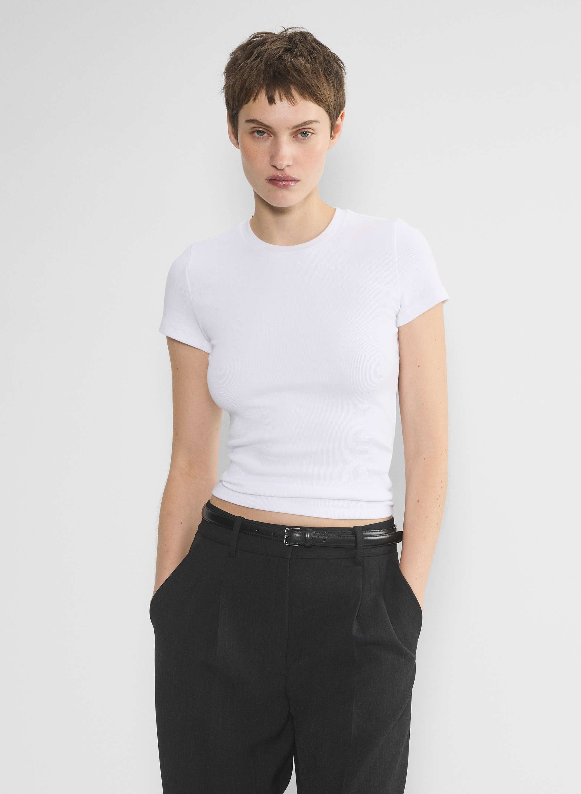Aritzia, Homestretch Rib Crew T-Shirt